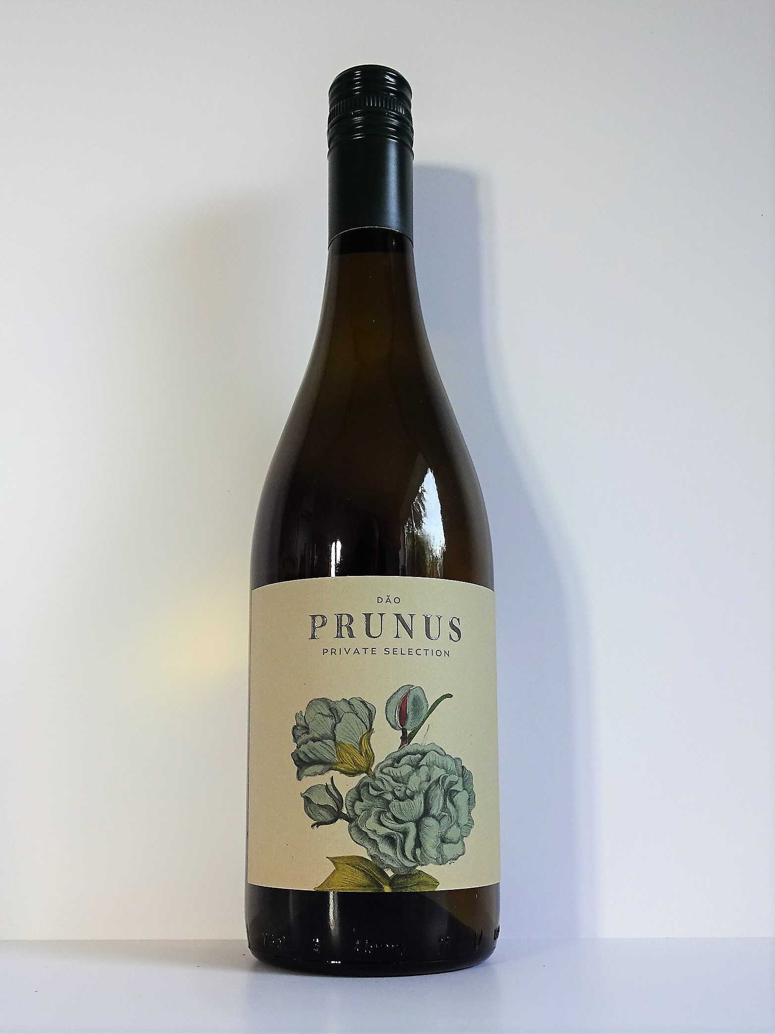 Prunus White DAO 2023