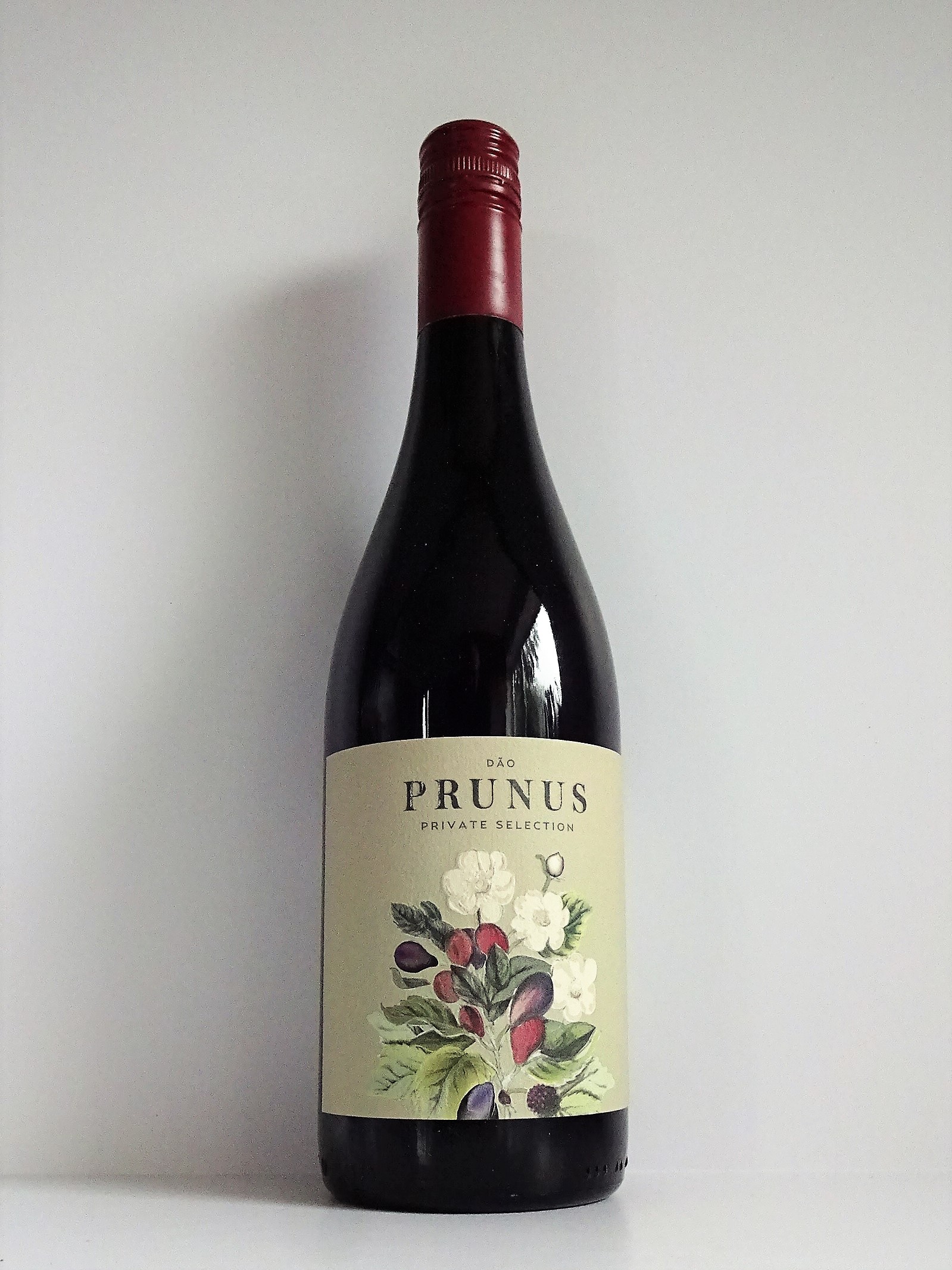 Prunus Red Dao 2022